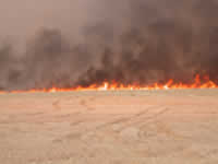 4:41pm Feel heat from fire crossing Rinker field.